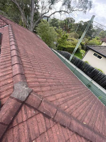 Roof Remediation & Restoration 1